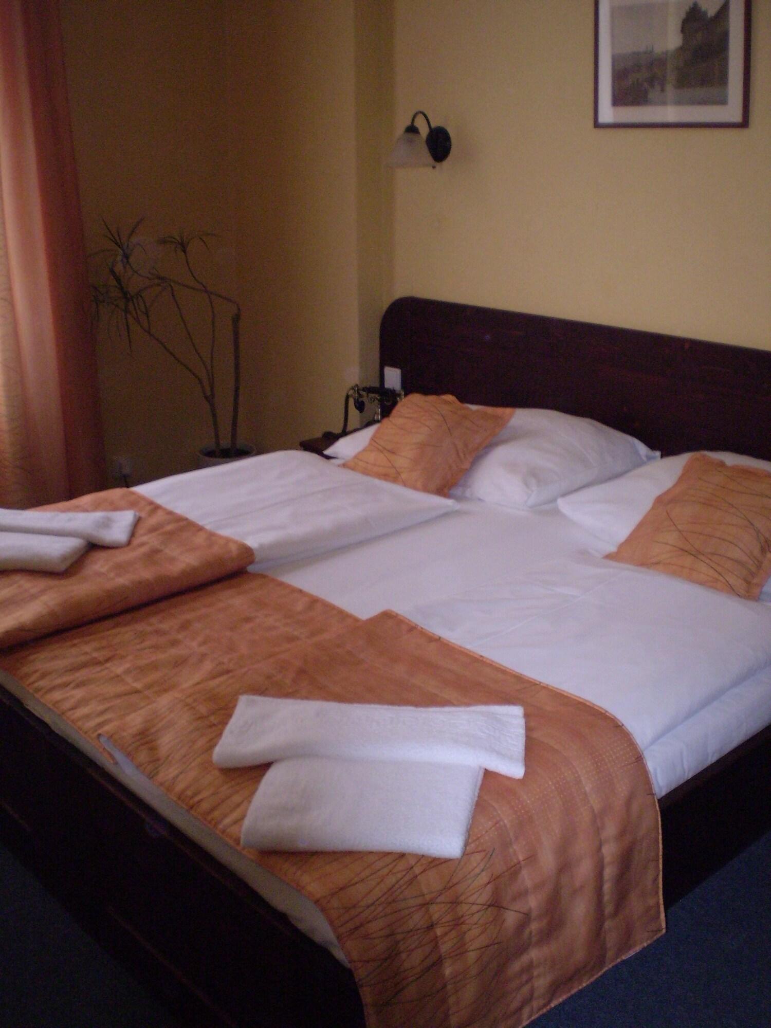 Hotel U Stare Pani - At The Old Lady Praag